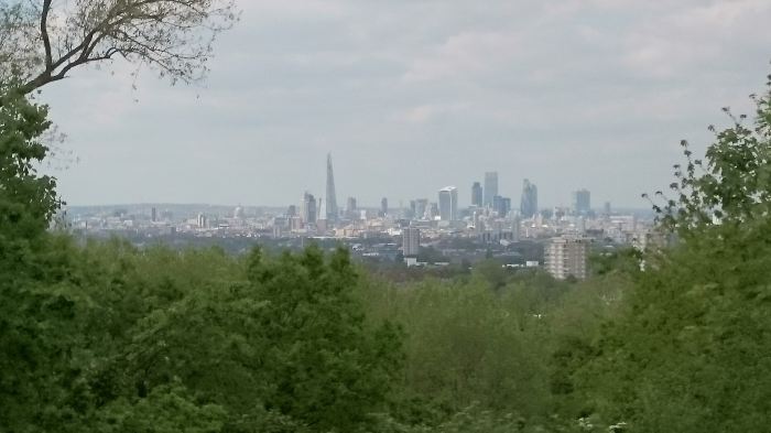 View Towards City from One Tree Hill